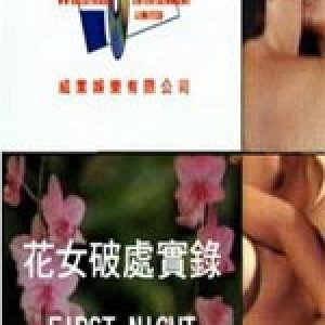 花女破处实录1994电影封面.jpg