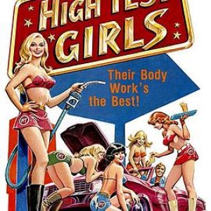 加油站6个瑞士少女(High Test Girls,Seven Daring Girls,Swedish Sex Service)1980电影封面.jpg