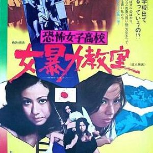 恐怖女子高校女暴力教室(Terrifying Girls’ High School - Women’s Violent Classroom)1972电影封面.jpg