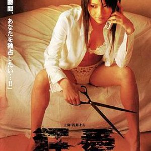 狂爱(Kyouai shinu made ni shitai yon-tsu no koto)2005电影封面.jpg