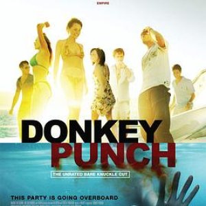 驴子潘趣(驴踢  驴拳  The Punch)2008电影封面.jpg