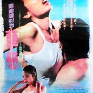 孽恋(Infatuation)1995电影封面.jpg