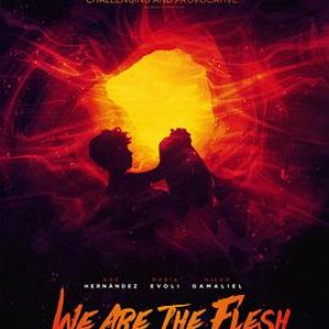 末世肉体(We Are the Flesh)2016电影封面.jpg