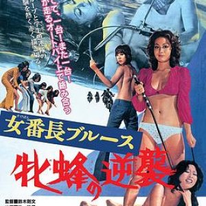 女番长布鲁斯：雌蜂的逆袭(Mesubachi no gyakushu,女队长布鲁斯 雌蜂的反击)1971电影封面.jpg