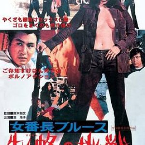 女番长布鲁斯：雌蜂的挑战(Mesubachi no chosen,女队长布鲁斯 雌蜂的挑战)1972电影封面.jpg