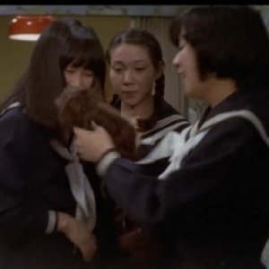 女高中生性感试验1977电影封面.jpg