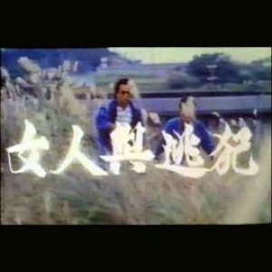 女人与逃犯(处女与逃犯)1989电影封面.jpg