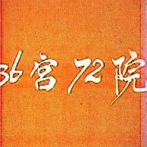 三十六宫七十二院1987电影封面.jpg