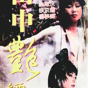 山中艳谭(山中艷譚 Dark Tale,雪魔女)1995电影封面.jpg