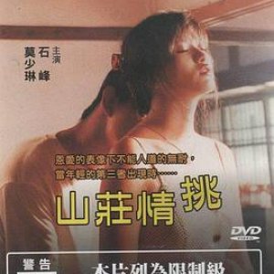 山庄情挑(Shan Zhuang Qing Tiao)1997电影封面.jpg