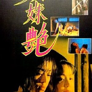 双姝艳( 双珠艳 )1995电影封面.jpg