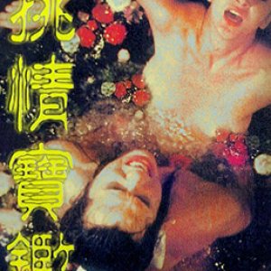 素女经之挑情宝鉴(素女与真经)1992电影封面.jpg