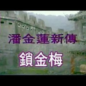 锁金梅(潘金莲新传,Chinese Sexy Story)1993电影封面.jpg