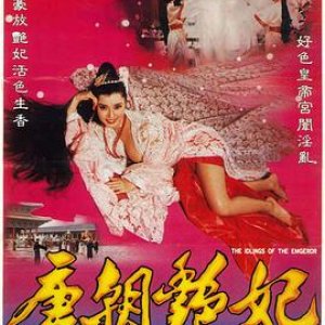 唐朝奸妃(The Devil Woman of Tang Dynasty)1993电影封面.jpg