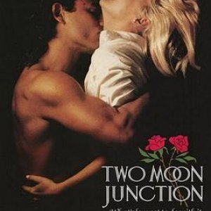 偷月情 Two Moon Junction1988电影封面.jpg