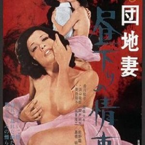 団地妻 昼下りの情事1971电影封面.jpg