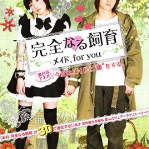 完全饲育：专属女仆(Kanzen naru shiiku Meido for you  Maid for you)2010电影封面.jpg