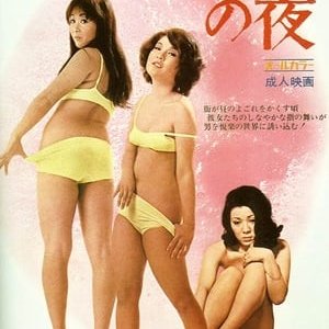 性感野猫之夜(雌猫们之夜  Night of the Felines)1972电影封面.jpg