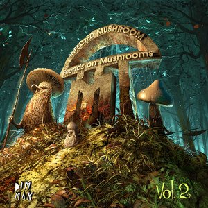 Infected Mushroom2013《Friends On Mushrooms, Vol. 2》专辑封面图片.jpg