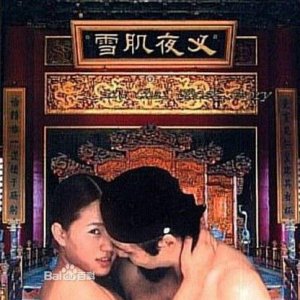 雪肌夜叉1993电影封面.jpg