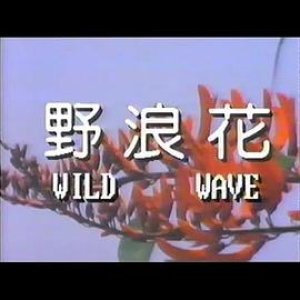 野浪花(色欲野鸳鸯)1987电影封面.jpg