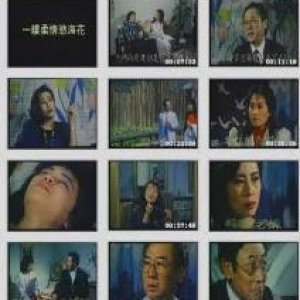 一缕柔情欲海花1970电影封面.jpg