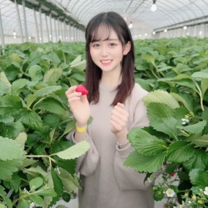 小坂七香(Kosaka Nanaka)写真图片1127.jpg