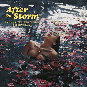 Kali Uchis2018《After The Storm》专辑封面图片.jpg