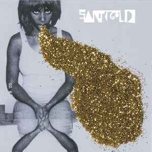 Santigold2008《Santogold》专辑封面图片.jpg