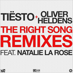 Tiësto2016《The Right Song (Remixes)》专辑封面图片.jpg