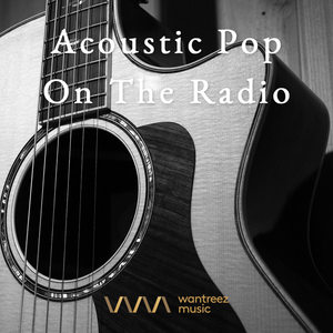 Various Artists2017《Acoustic Pop On The Radio》专辑封面图片.jpg