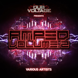 Various Artists2017《Amped Volume 2》专辑封面图片.jpg