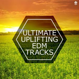 Various Artists2017《Ultimate Uplifting EDM Tracks》专辑封面图片.jpg