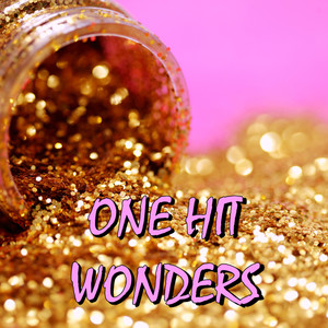 Various Artists2019《One Hit Wonders (Explicit)》专辑封面图片.jpg