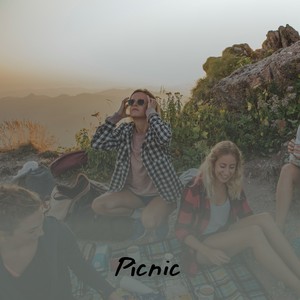 Various Artists2020《Picnic》专辑封面图片.jpg