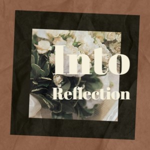 Various Artists2021《Into Reflection》专辑封面图片.jpg