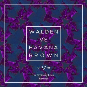 Walden2015《No Ordinary Love (The Remixes)》专辑封面图片.jpg