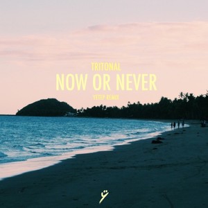 Yetep2017《Now Or Never (Yetep Remix)》专辑封面图片.jpg