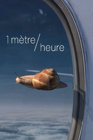 1 mètre&#47;heure - 2018高清海报.jpg