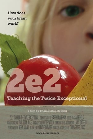 2e2 Teaching the Twice Exceptional - 2018高清海报.jpg