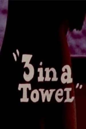 3 in a Towel - 1969高清海报.jpg