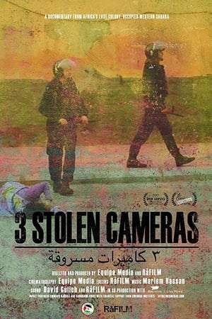 3 Stolen Cameras - 2017高清海报.jpg