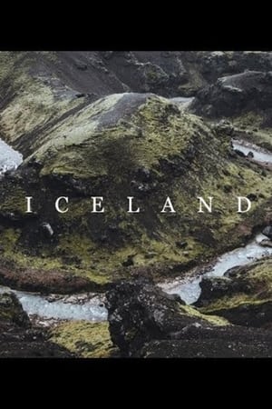 3 Weeks in Iceland - 2019高清海报.jpg