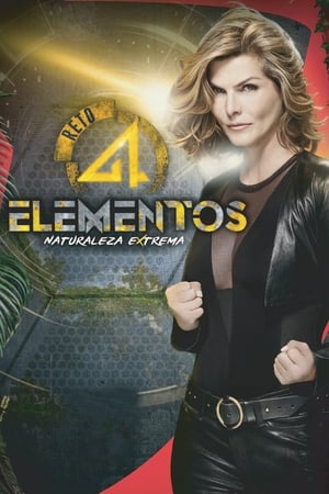 4 Elementos - 2018高清海报.jpg