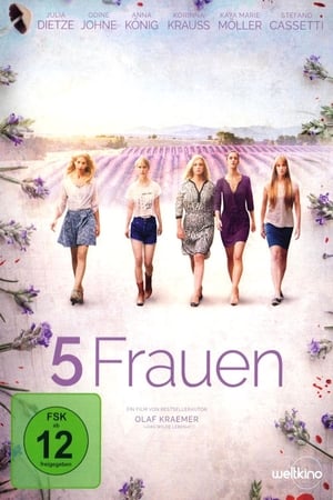 5 Frauen - 2017高清海报.jpg