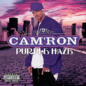 Cam'ron2004《Purple Haze (Explicit) (紫雾)》专辑封面图片.jpg