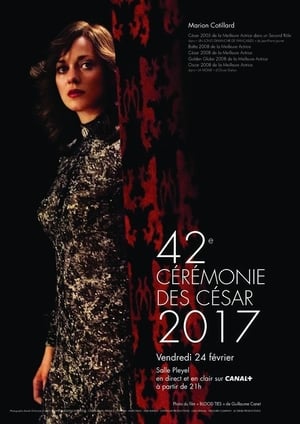 42e cérémonie des césars - 2017高清海报.jpg