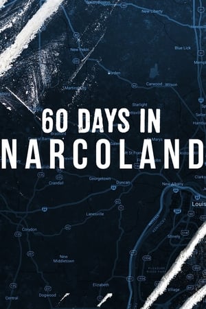 60 Days In Narcoland - 2019高清海报.jpg