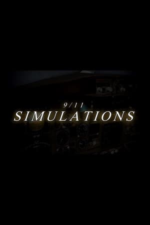 911 Simulations - 2014高清海报.jpg