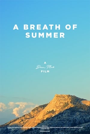 A Breath Of Summer - 2018高清海报.jpg